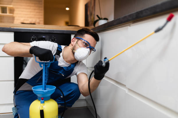 Best Insect Control  in Millport, AL