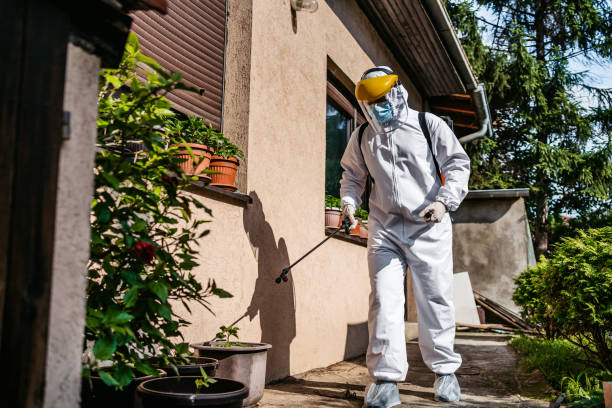 Reliable Millport, AL Pest Control Solutions