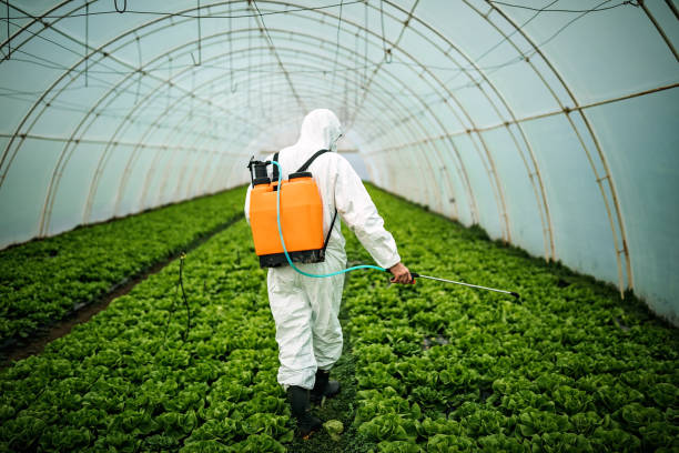 Best Pest Inspection Near Me  in Millport, AL
