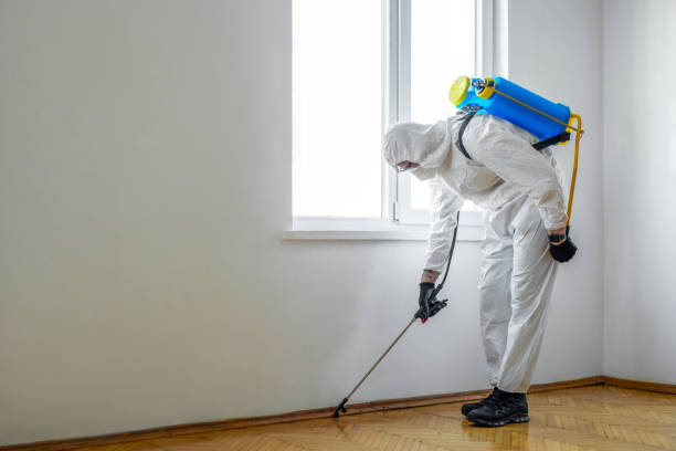 Best Pest Removal Services  in Millport, AL