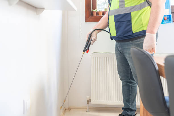 Best Mosquito Control Services  in Millport, AL