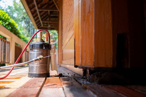 Best Pest Prevention Services  in Millport, AL