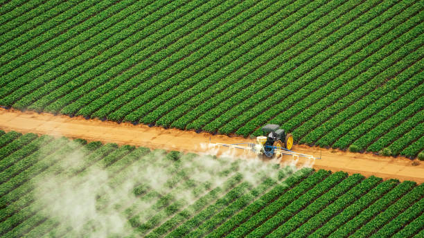 Best Pest Prevention Services  in Millport, AL