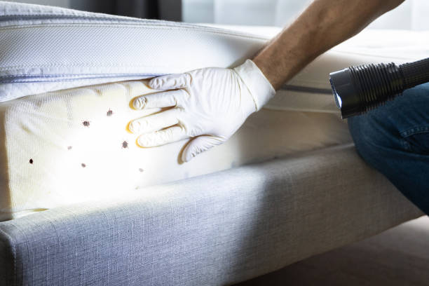 Best Wildlife Control Services  in Millport, AL