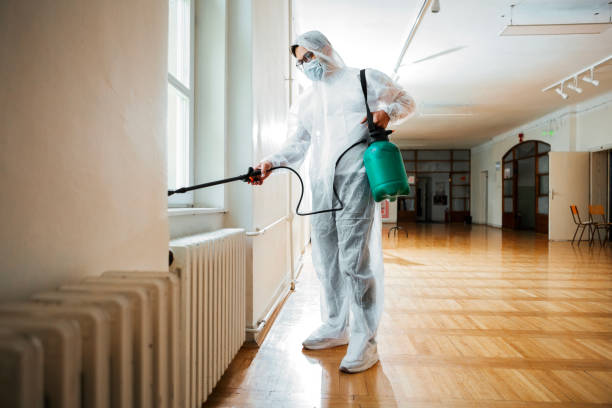Best Termite Control Services  in Millport, AL