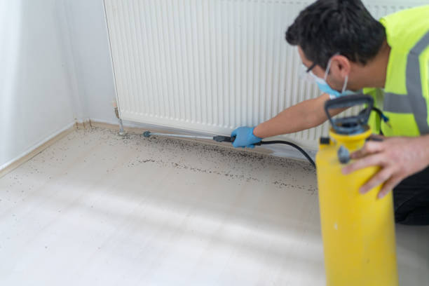 Best Flea Control Services  in Millport, AL