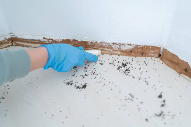 Best Best Pest Control Companies  in Millport, AL