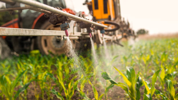 Best Insect Control  in Millport, AL
